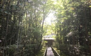 モヤモヤの先に広がる景色