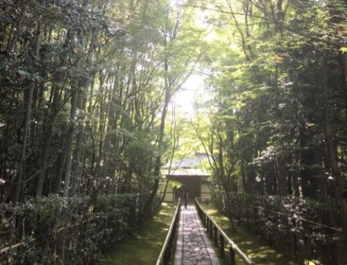 モヤモヤの先に広がる景色